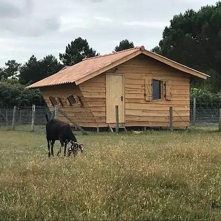 Gite - La Ferme A La Plage Le Porge Εξωτερικό φωτογραφία