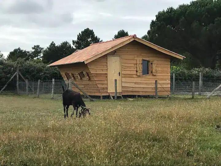 Gite - La Ferme A La Plage Le Porge Εξωτερικό φωτογραφία